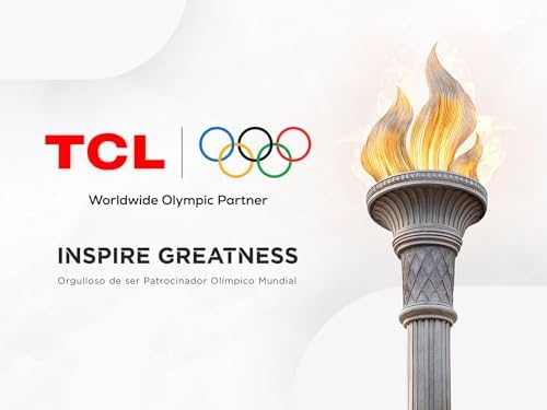 TCL 55Q6C conexiones traseras