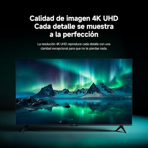 Xiaomi TV F 55 conectividad