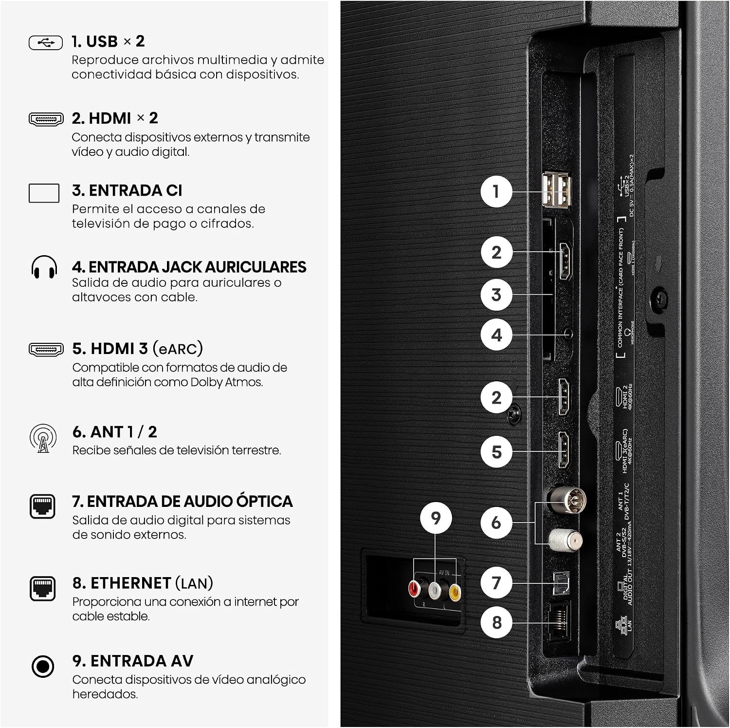 Conexiones traseras de la Hisense 43E7S
